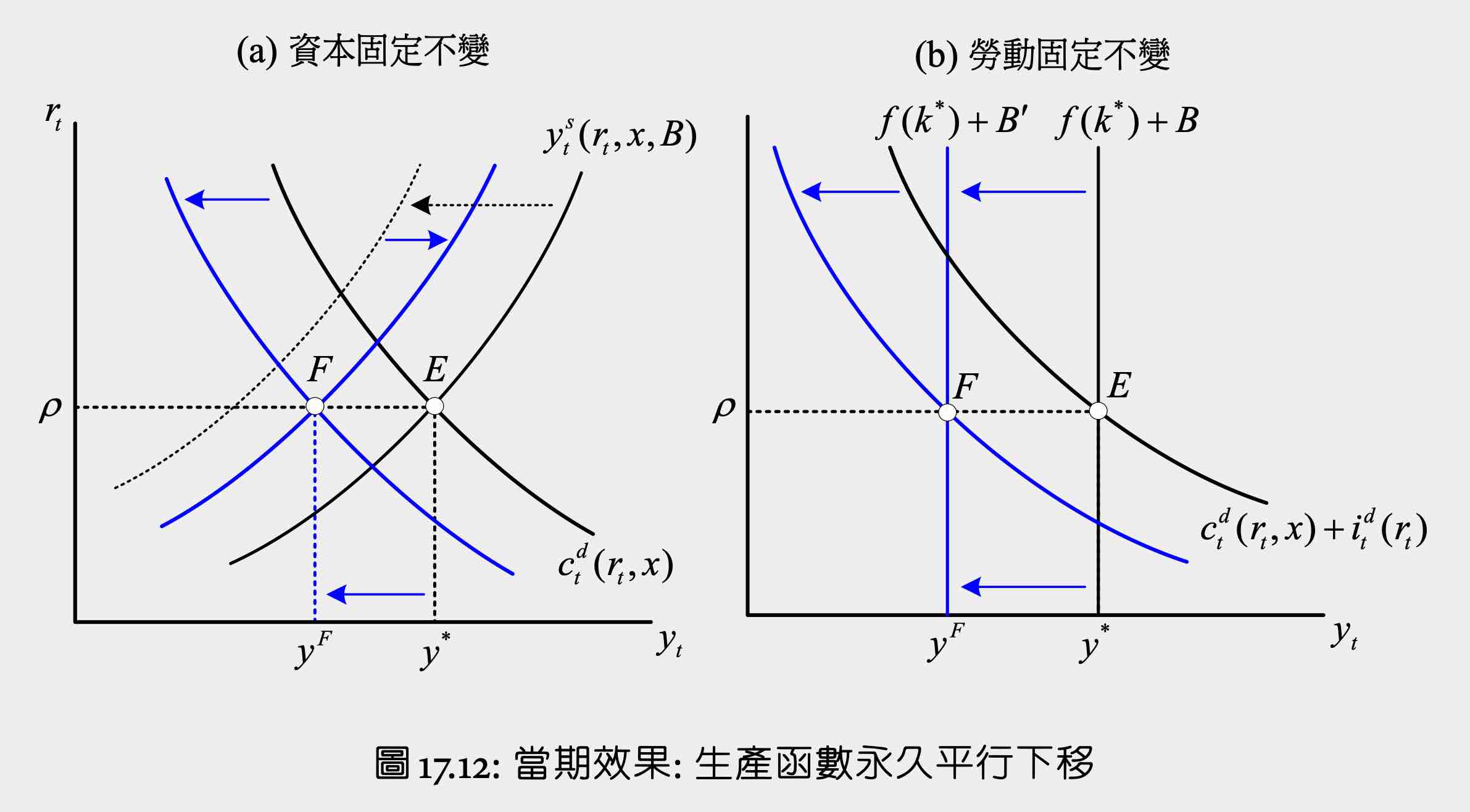 macro-17.12.jpg