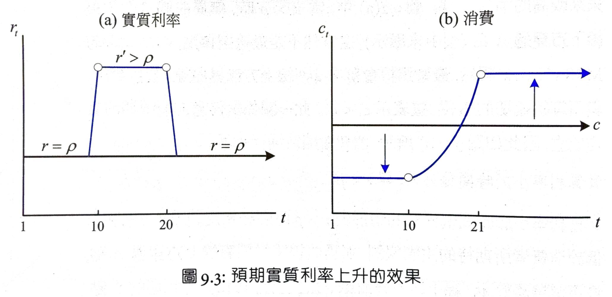 macro-fig9.3.jpg